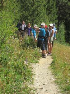 Hiking & Waking Tours in Telluride