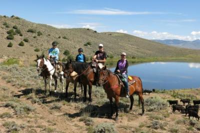 Horseback Riding & Tours in Keystone